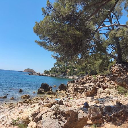 Agréable studio 2/4 pers au calme avec rez-de-jardin Bandol Extérieur photo