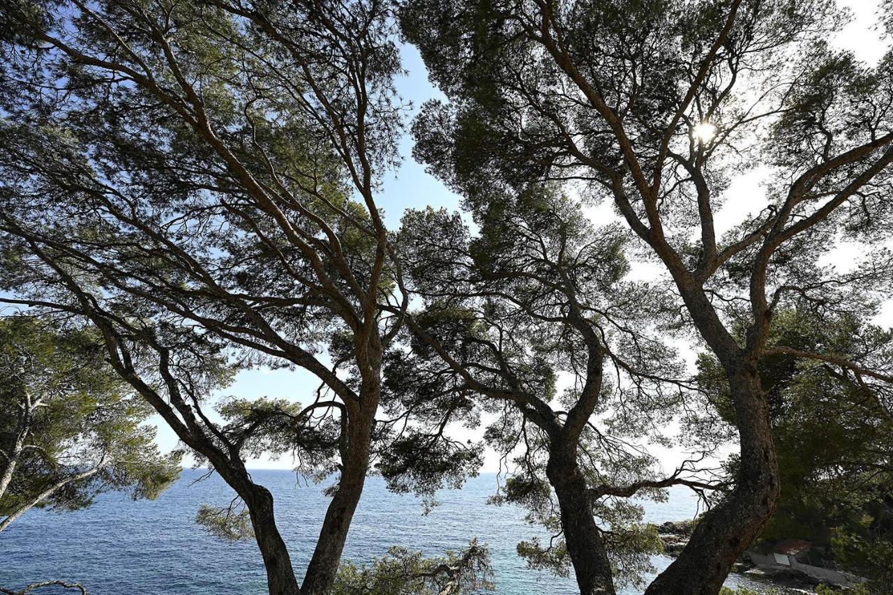 Agréable studio 2/4 pers au calme avec rez-de-jardin Bandol Extérieur photo
