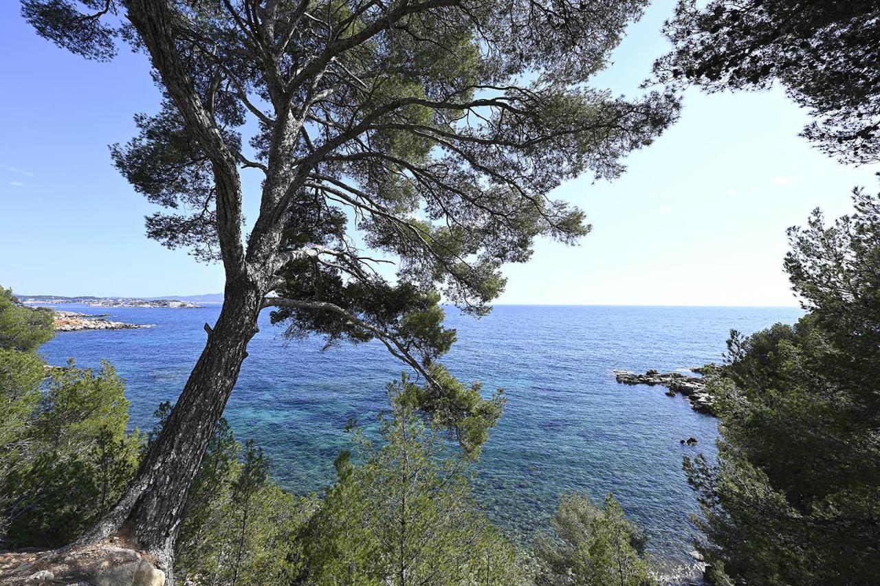 Agréable studio 2/4 pers au calme avec rez-de-jardin Bandol Extérieur photo
