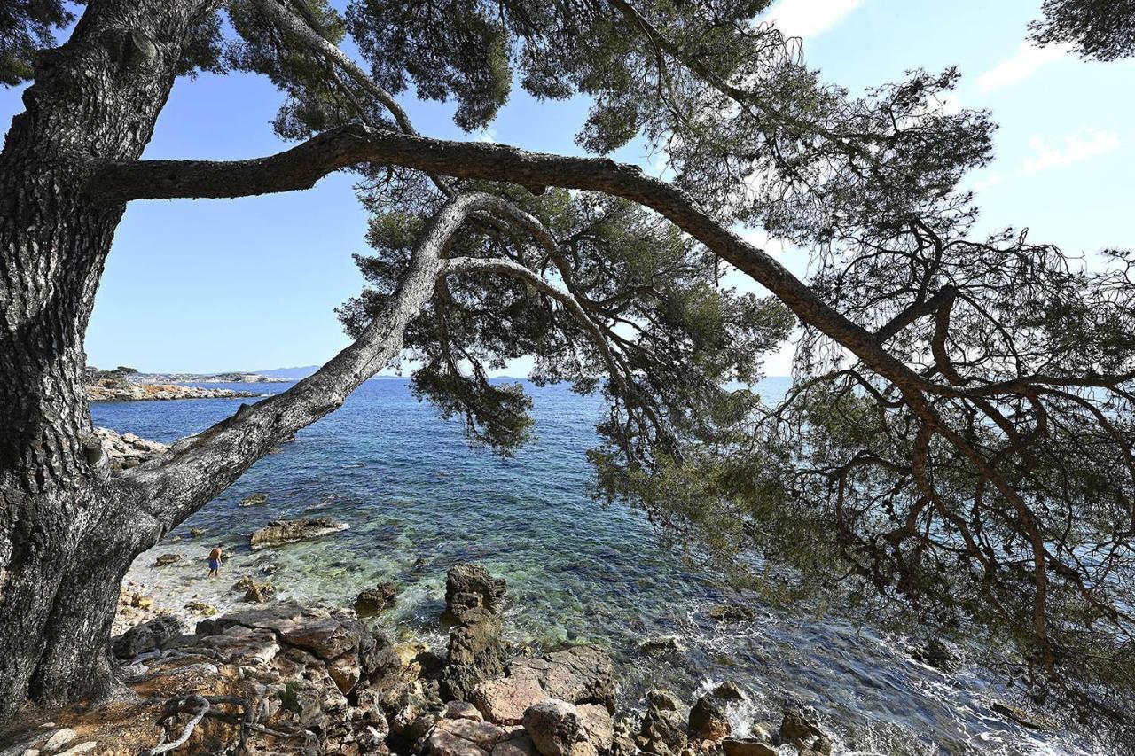 Agréable studio 2/4 pers au calme avec rez-de-jardin Bandol Extérieur photo