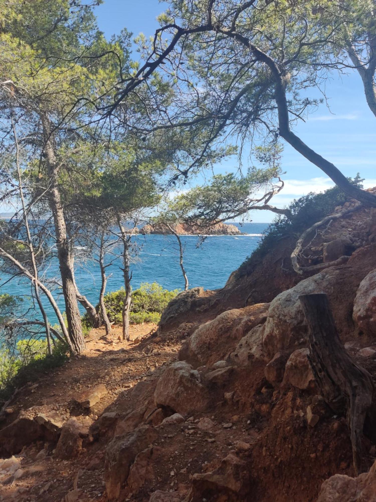 Agréable studio 2/4 pers au calme avec rez-de-jardin Bandol Extérieur photo